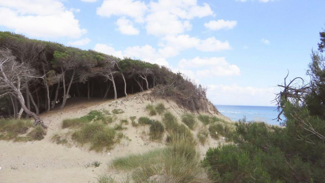 Hotel Grecale Porto Cesareo Zewnętrze zdjęcie